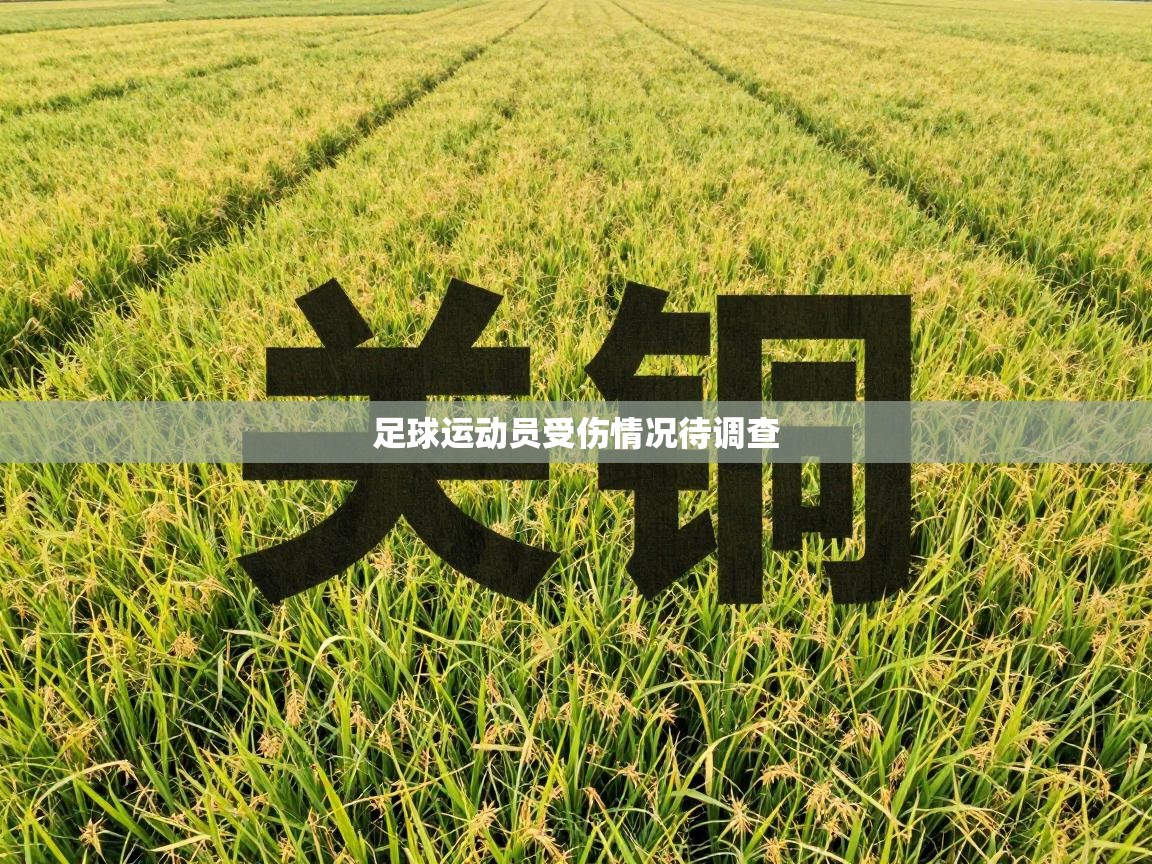 足球运动员受伤情况待调查  第2张